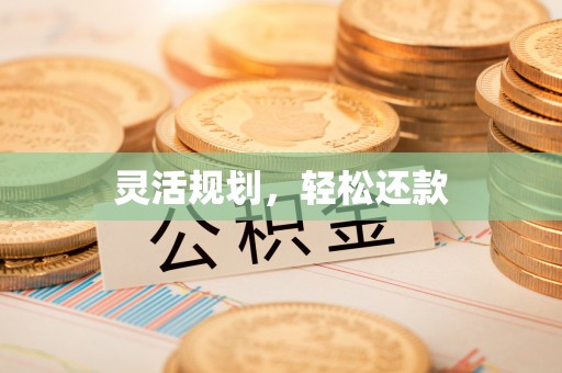 学甲灵活规划，轻松还款